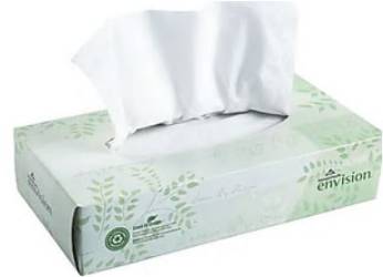 Georgia Pacific Envision Flat Box Facial Tissues, 2-Ply, 100 Tissues per Box, 30 Boxes per Case
