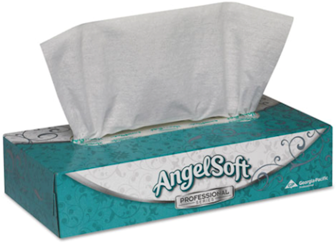 Angel Soft Flat Box Facial Tissues, 2-Ply, 100 Sheets per Box, 1 Each