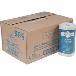 Envision Recycled 2-Ply Kitchen Roll Paper Towels, 250 Sheets per Roll, 12 Rolls per Case